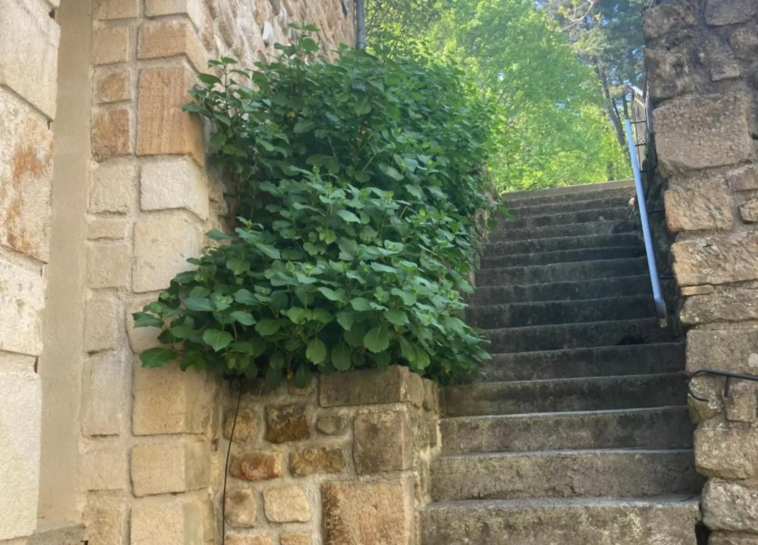Aux Vieux Arceaux Hotel Mercuer