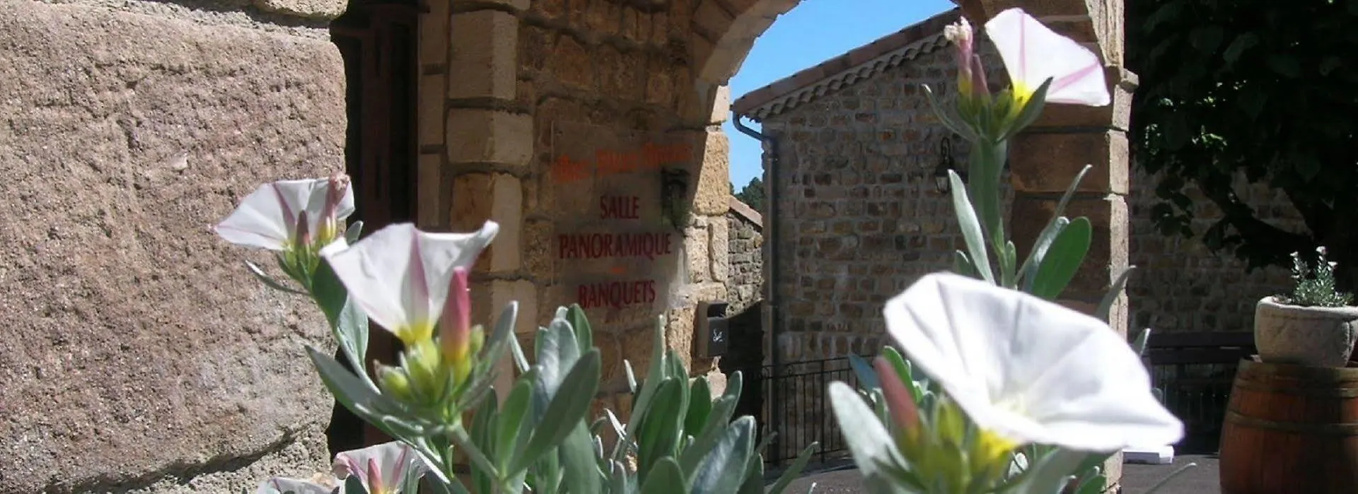Hotel Aux Vieux Arceaux à Mercuer